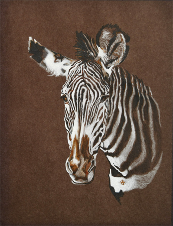 Zebra by artist Gaylon F. Stagner